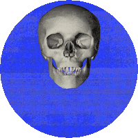 Halloween Fall Sticker by UCLA