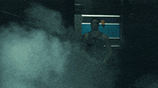 North Carolina Reaction GIF by Charlotte Hornets