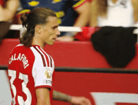 Arsenal GIF by memes