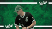 Emueagles Emubaseball GIF by EMU Athletics