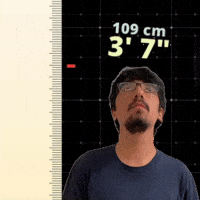 3' 7"