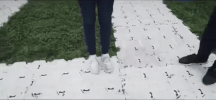 crazy creamfields GIF by Robin Schulz