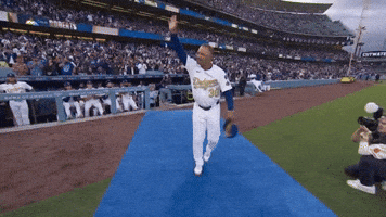 Los Angeles Dodgers Sport GIF by MLB