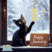 New Beginnings January GIF