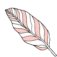 Feather Sticker by Abiby
