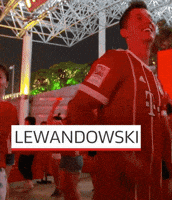 world cup poland GIF by Bundesliga
