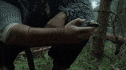 Viking Zerozero GIF by Nordavind