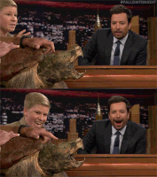 jimmy fallon turtle GIF by The Tonight Show Starring Jimmy Fallon