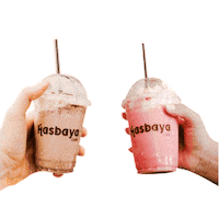 hasbaya_cafe coffee cafe amigos brinde Sticker