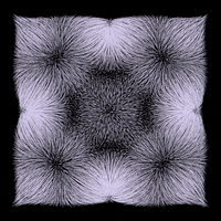 black and white loop GIF by roberthruska