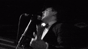 rock n roll will butler GIF by Merge Records