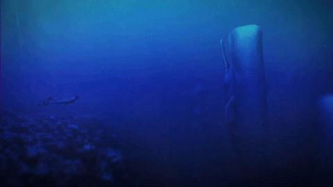 beyondbluegame giphyupload underwater whales beyondbluegame GIF