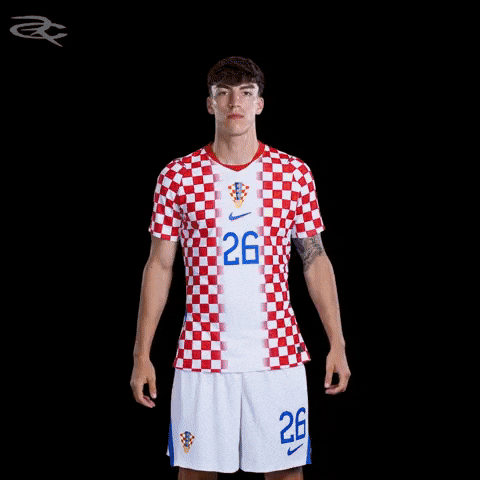 Fifa World Cup Uefa GIF by Respective
