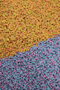 Happy Nerd GIF by NERDS Candy