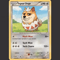 Shiba Inu Parody GIF by Doge Pound