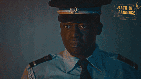 Commissioner Patterson GIF by Death In Paradise