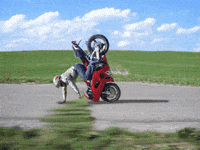 bike stunt GIF