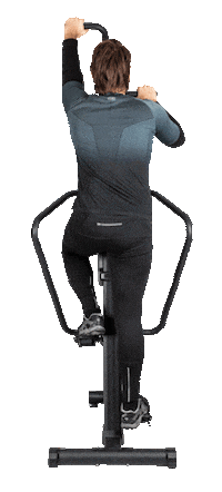 inSPORTline stepper insportline verticon insportline verticon Sticker