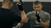 Bitcoin Cryptocurrency GIF by Crypto.com