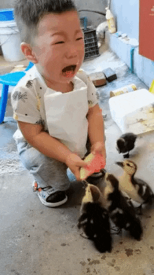 cuteanimalland giphyupload GIF