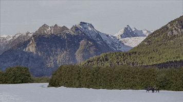 Hallmark Movies And Mysteries Miracles Of Christmas GIF by Hallmark Mystery