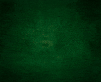 Hallo Ich Bin Ein Star GIF by RTLde