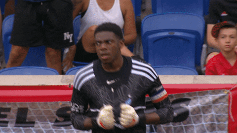 Happy New York GIF by NYCFC