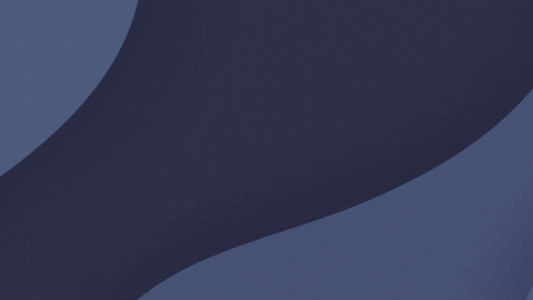 UDOGSCHOOL giphyupload dog school perro GIF