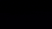 Nft Uhaint GIF by UHA International.