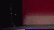 Happy Fun GIF by Temporada Alta