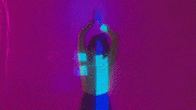 Wmg GIF by Warner Music Poland