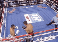 toprank fight boxing champion espn GIF