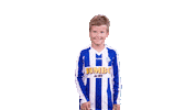 Voetbalvereniging_Scherpenzeel sport voetbal bal blauwwit Sticker