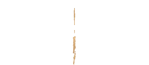 Gold Luxury Sticker by The Royal Game