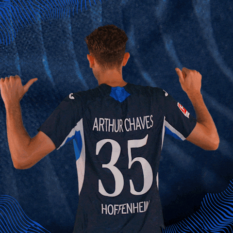 Sport Bundesliga GIF by TSG Hoffenheim