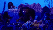Top Down GIF by EARTHGANG