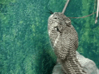 Awkward Education GIF by DIIMSA Stock