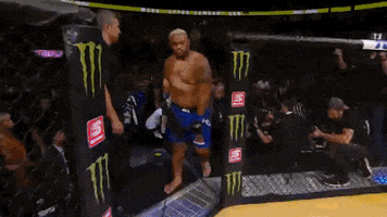brock lesnar ufc GIF