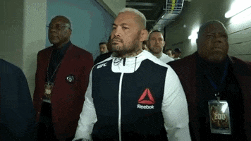 brock lesnar ufc GIF