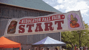 HallmarkChannel reaction halloween hallmark hallmark channel GIF