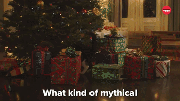 Cat Questions: Christmas