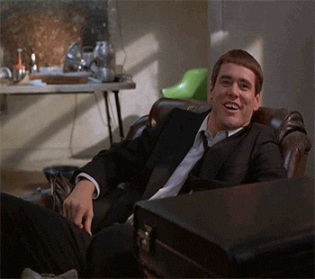 GIF by Giphy QA