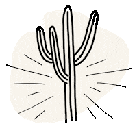 Boho Cactus Sticker