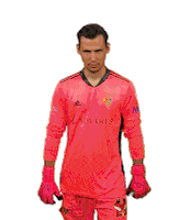 Fcb Sticker by FC Basel 1893