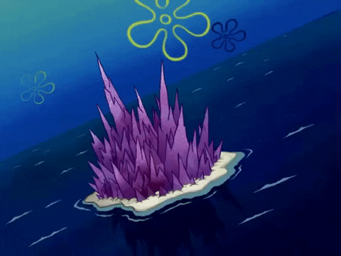 season 6 GIF by SpongeBob SquarePants