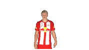 Erling Haaland Sticker by FC Red Bull Salzburg