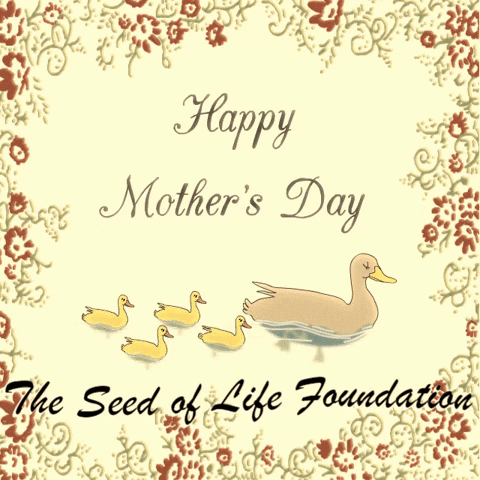 Conserve Mothers Day GIF by The Seed of Life Foundation