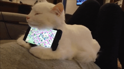 technology smartphone GIF
