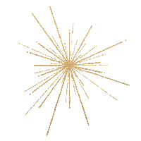 Stars Sparkle Sticker by Safe Place For Youth