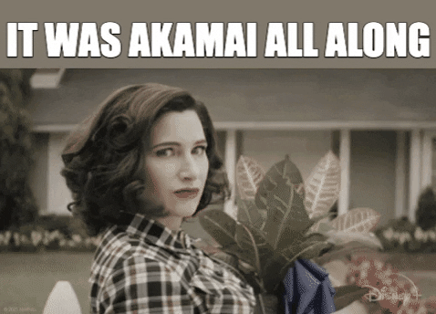 bufs91 giphygifmaker akamai GIF